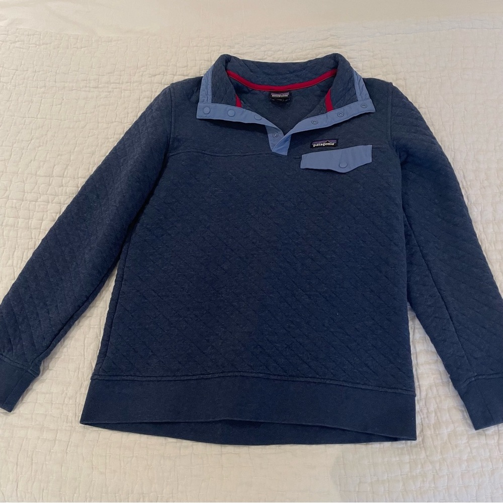 Patagonia blue sweatshirt